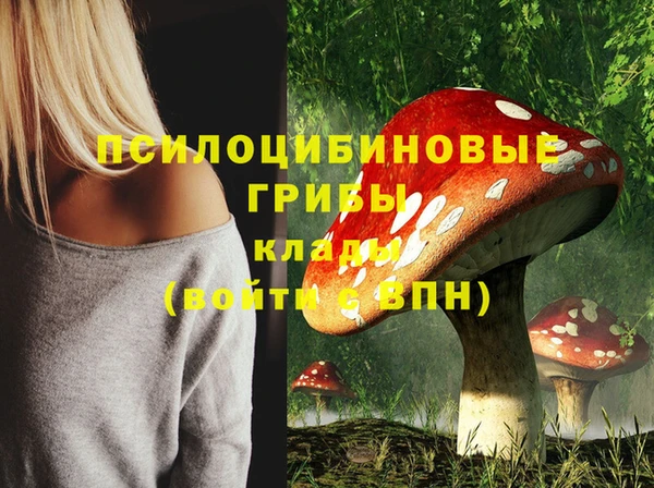 каннабис Арсеньев