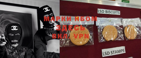 молекула духа Нязепетровск